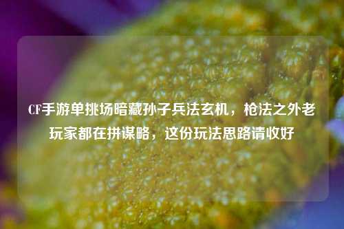 CF手游单挑场暗藏孙子兵法玄机,枪法之外老玩家都在拼谋略,这份玩法思路请收好