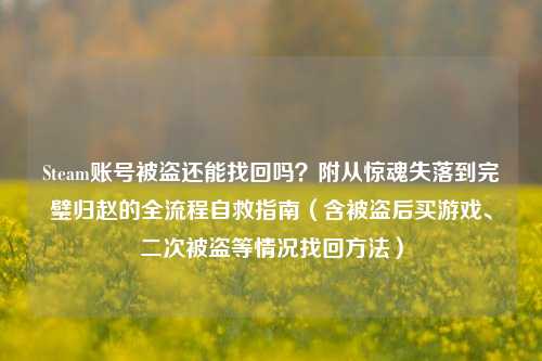 Steam账号被盗还能找回吗?附从惊魂失落到完璧归赵的全流程自救指南(含被盗后买游戏、二次被盗等情况找回方法)