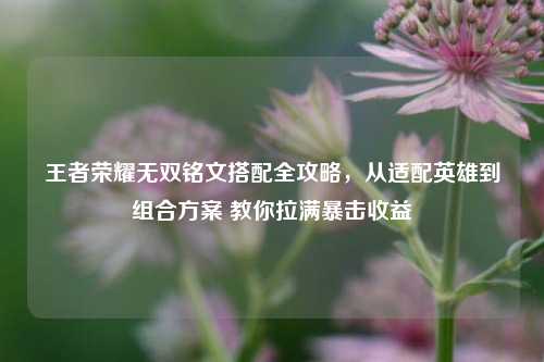 王者荣耀无双铭文搭配全攻略,从适配英雄到组合方案 教你拉满暴击收益