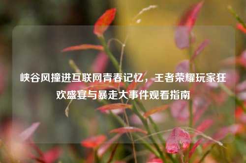 峡谷风撞进互联网青春记忆，王者荣耀玩家狂欢盛宴与暴走大事件观看指南
