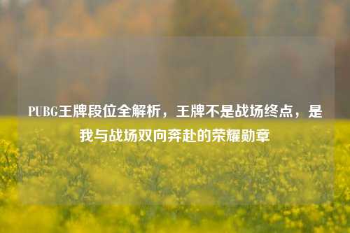 PUBG王牌段位全解析,王牌不是战场终点,是我与战场双向奔赴的荣耀勋章