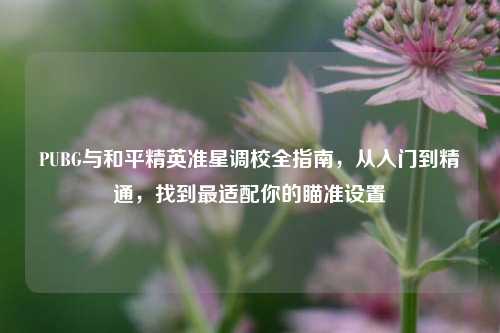 PUBG与和平精英准星调校全指南,从入门到精通,找到最适配你的瞄准设置