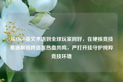 从CSGO英文术语到全球玩家同好，在硬核竞技赛场解锁跨语言热血共鸣，严打开挂守护纯粹竞技环境