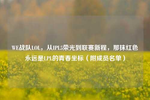 WE战队LOL，从IPL5荣光到联赛新程，那抹红色永远是LPL的青春坐标（附成员名单）