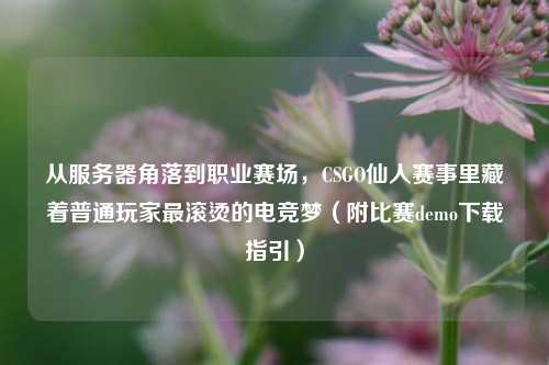 从服务器角落到职业赛场，CSGO仙人赛事里藏着普通玩家最滚烫的电竞梦（附比赛demo下载指引）