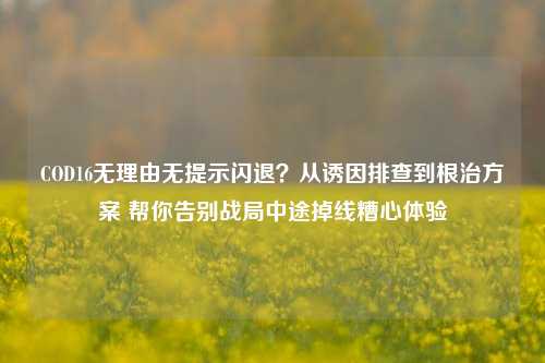 COD16无理由无提示闪退？从诱因排查到根治方案 帮你告别战局中途掉线糟心体验