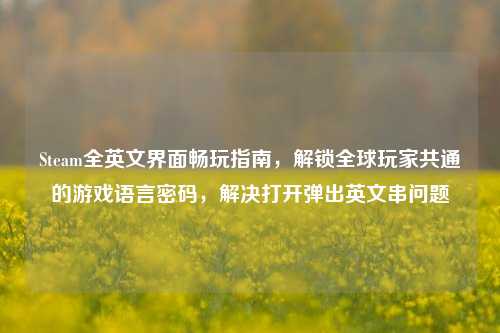 Steam全英文界面畅玩指南,解锁全球玩家共通的游戏语言密码,解决打开弹出英文串问题