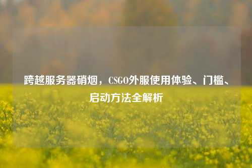 跨越服务器硝烟,CSGO外服使用体验、门槛、启动方法全解析