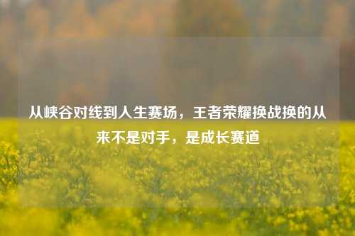从峡谷对线到人生赛场,王者荣耀换战换的从来不是对手,是成长赛道