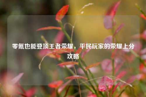 零氪也能登顶王者荣耀,平民玩家的荣耀上分攻略