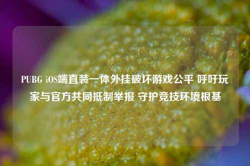 PUBG iOS端直装一体外挂破坏游戏公平 呼吁玩家与官方共同抵制举报 守护竞技环境根基