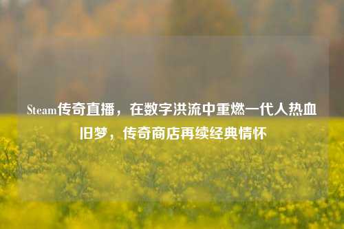 Steam传奇直播,在数字洪流中重燃一代人热血旧梦,传奇商店再续经典情怀