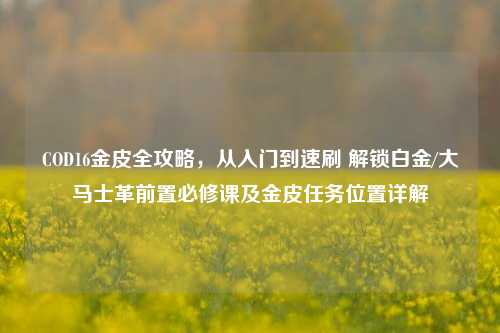 COD16金皮全攻略,从入门到速刷 解锁白金/大马士革前置必修课及金皮任务位置详解
