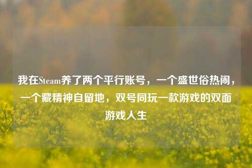 我在Steam养了两个平行账号，一个盛世俗热闹，一个藏精神自留地，双号同玩一款游戏的双面游戏人生