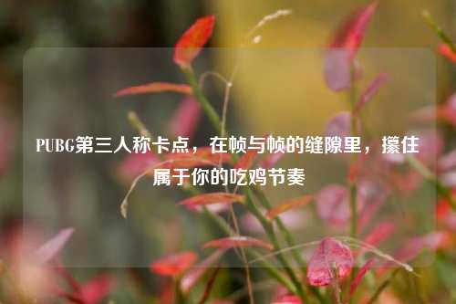 PUBG第三人称卡点,在帧与帧的缝隙里,攥住属于你的吃鸡节奏