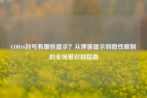 COD16封号有哪些提示?从弹窗提示到隐性限制的全场景识别指南