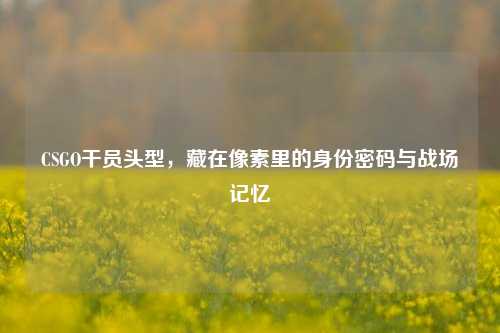 CSGO干员头型,藏在像素里的身份密码与战场记忆