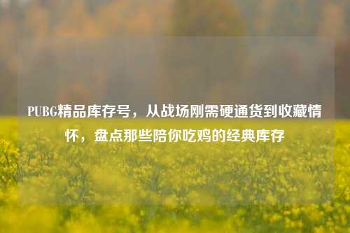 PUBG精品库存号，从战场刚需硬通货到收藏情怀，盘点那些陪你吃鸡的经典库存
