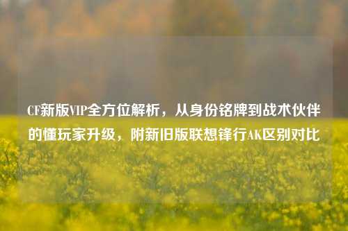 CF新版VIP全方位解析，从身份铭牌到战术伙伴的懂玩家升级，附新旧版联想锋行AK区别对比