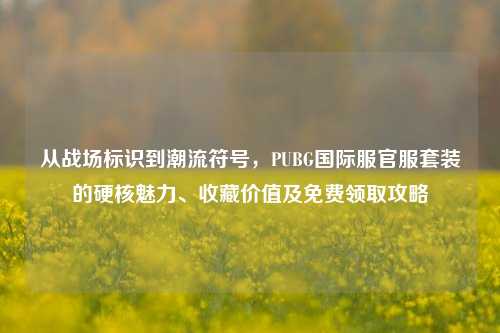 从战场标识到潮流符号,PUBG国际服官服套装的硬核魅力、收藏价值及免费领取攻略