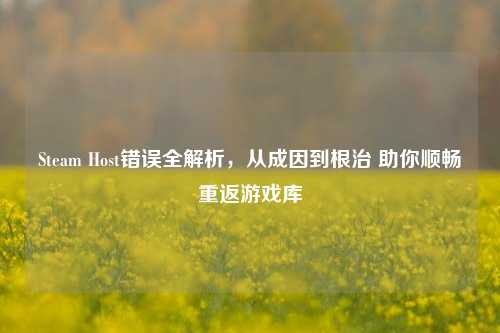 Steam Host错误全解析,从成因到根治 助你顺畅重返游戏库