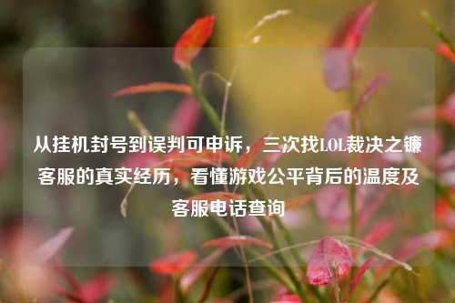 从挂机封号到误判可申诉,三次找LOL裁决之镰客服的真实经历,看懂游戏公平背后的温度及客服电话查询
