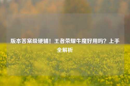 版本答案级硬辅!王者荣耀牛魔好用吗?上手全解析