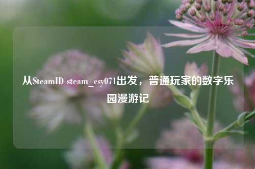 从SteamID steam_csy071出发，普通玩家的数字乐园漫游记