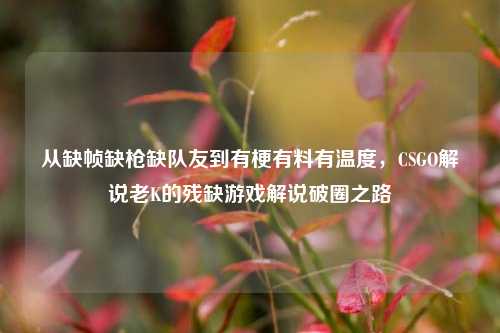 从缺帧缺枪缺队友到有梗有料有温度,CSGO解说老K的残缺游戏解说破圈之路