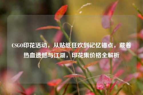 CSGO印花活动,从贴纸狂欢到记忆锚点,藏着热血遗憾与江湖,印花集价格全解析