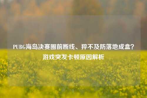PUBG海岛决赛圈前断线、猝不及防落地成盒?游戏突发卡顿原因解析