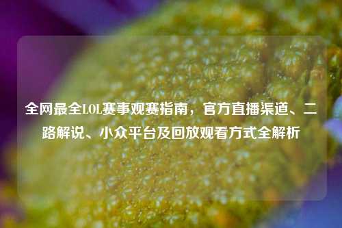 全网最全LOL赛事观赛指南,官方直播渠道、二路解说、小众平台及回放观看方式全解析