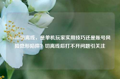 Steam切离线，是单机玩家实用技巧还是账号风险隐形陷阱？切离线后打不开问题引关注