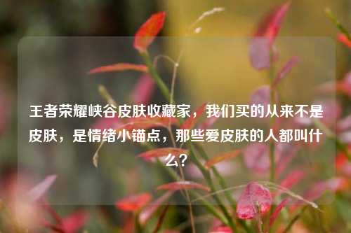 王者荣耀峡谷皮肤收藏家,我们买的从来不是皮肤,是情绪小锚点,那些爱皮肤的人都叫什么?