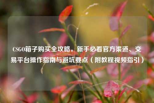 CSGO箱子购买全攻略,新手必看官方渠道、交易平台操作指南与避坑要点(附教程视频指引)