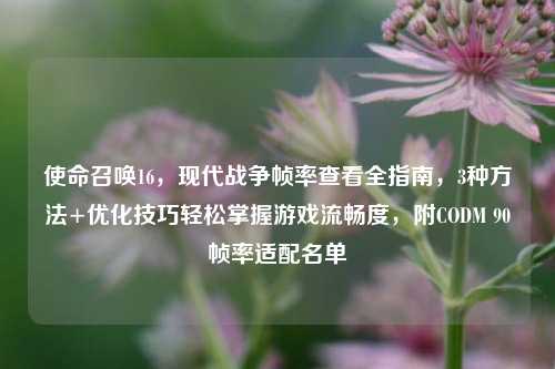 使命召唤16,现代战争帧率查看全指南,3种方法+优化技巧轻松掌握游戏流畅度,附CODM 90帧率适配名单