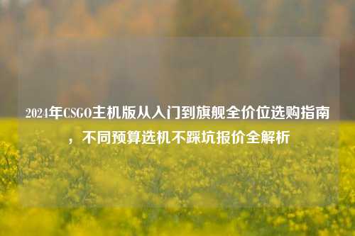 2024年CSGO主机版从入门到旗舰全价位选购指南，不同预算选机不踩坑报价全解析