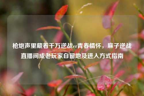 枪炮声里藏着千万逆战er青春情怀，麻子逆战直播间成老玩家自留地及进入方式指南