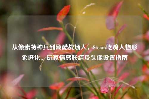 从像素特种兵到潮酷战场人，Steam吃鸡人物形象进化、玩家情感联结及头像设置指南