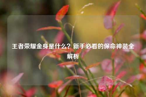 王者荣耀金身是什么?新手必看的保命神装全解析