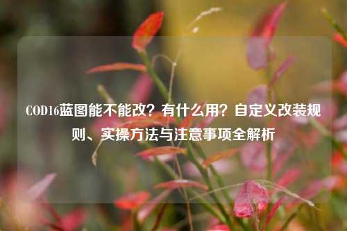 COD16蓝图能不能改？有什么用？自定义改装规则、实操方法与注意事项全解析