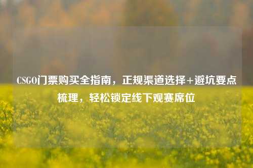 CSGO门票购买全指南，正规渠道选择+避坑要点梳理，轻松锁定线下观赛席位