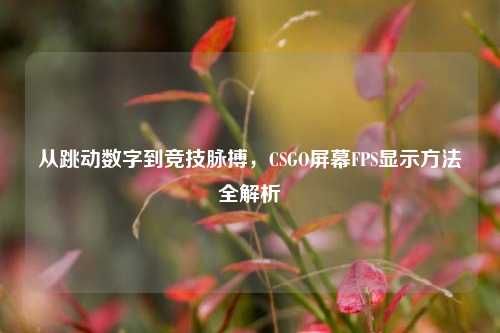 从跳动数字到竞技脉搏,CSGO屏幕FPS显示方法全解析