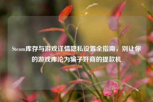 Steam库存与游戏详情隐私设置全指南,别让你的游戏库沦为骗子奸商的提款机