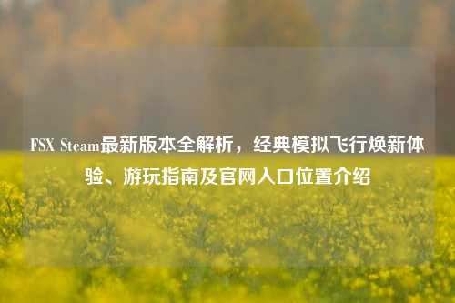 FSX Steam最新版本全解析,经典模拟飞行焕新体验、游玩指南及官网入口位置介绍