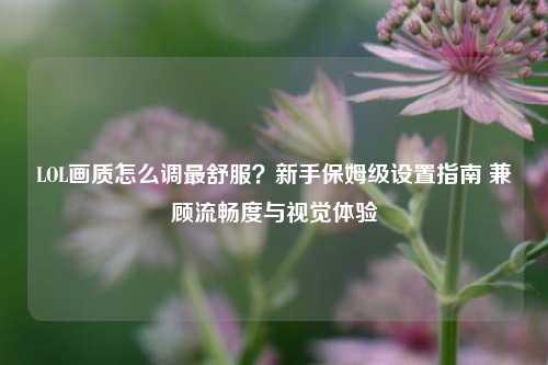 LOL画质怎么调最舒服?新手保姆级设置指南 兼顾流畅度与视觉体验