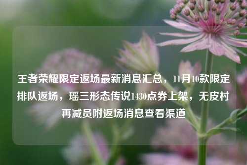 王者荣耀限定返场最新消息汇总,11月10款限定排队返场,瑶三形态传说1430点券上架,无皮村再减员附返场消息查看渠道