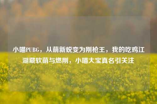 小喵PUBG,从萌新蜕变为刚枪王,我的吃鸡江湖藏软萌与燃刚,小喵大宝真名引关注