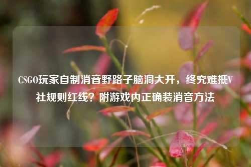 CSGO玩家自制消音野路子脑洞大开，终究难抵V社规则红线？附游戏内正确装消音方法