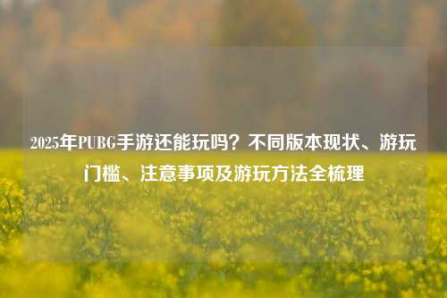 2025年PUBG手游还能玩吗？不同版本现状、游玩门槛、注意事项及游玩方法全梳理